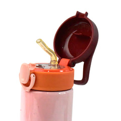 Double Walled Vacuum Insulated Water Bottle | (450 ml Approx / Mix Design / 1 Pc)